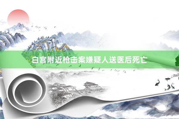 白宫附近枪击案嫌疑人送医后死亡