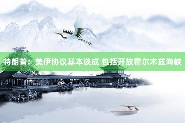特朗普：美伊协议基本谈成 包括开放霍尔木兹海峡