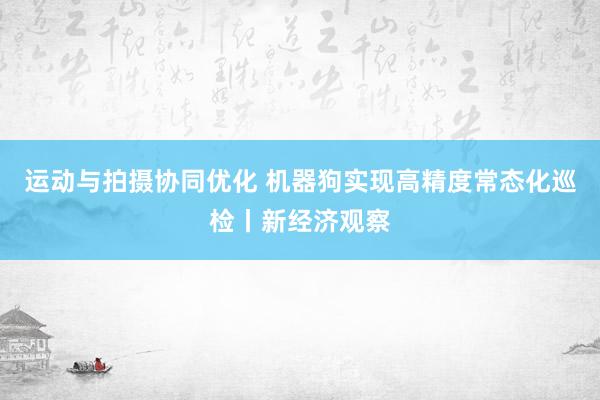 运动与拍摄协同优化 机器狗实现高精度常态化巡检丨新经济观察
