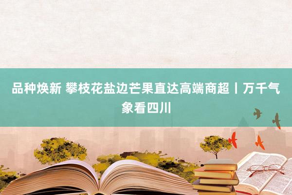 品种焕新 攀枝花盐边芒果直达高端商超丨万千气象看四川