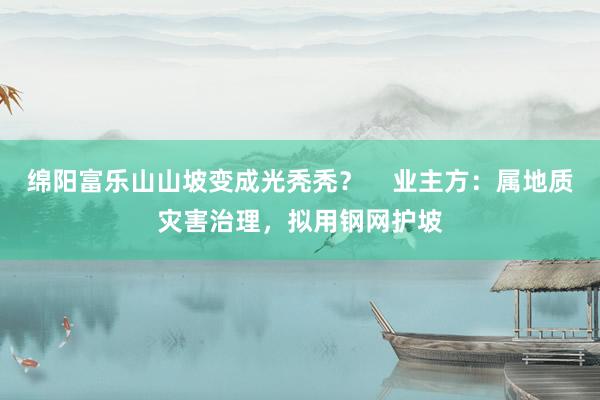 绵阳富乐山山坡变成光秃秃？    业主方：属地质灾害治理，拟用钢网护坡