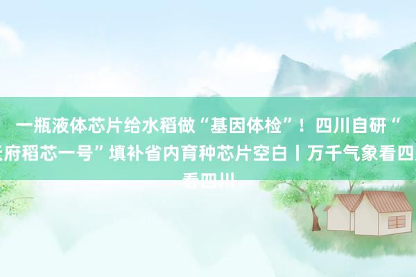 一瓶液体芯片给水稻做“基因体检”！四川自研“天府稻芯一号”填补省内育种芯片空白丨万千气象看四川