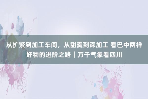 从扩繁到加工车间，从甜羹到深加工 看巴中两样好物的进阶之路｜万千气象看四川