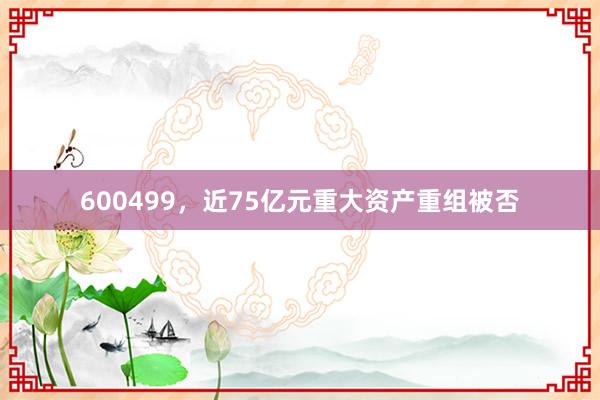 600499，近75亿元重大资产重组被否