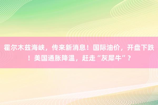 霍尔木兹海峡，传来新消息！国际油价，开盘下跌！美国通胀降温，赶走“灰犀牛”？