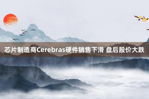 芯片制造商Cerebras硬件销售下滑 盘后股价大跌