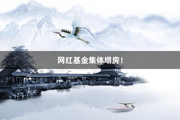 网红基金集体塌房！