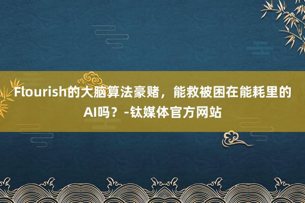 Flourish的大脑算法豪赌，能救被困在能耗里的AI吗？-钛媒体官方网站