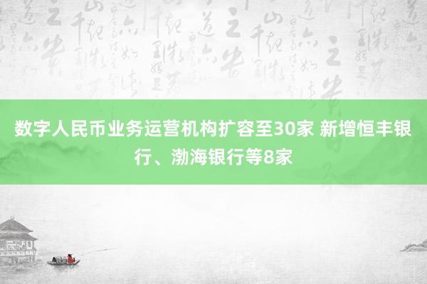 数字人民币业务运营机构扩容至30家 新增恒丰银行、渤海银行等8家