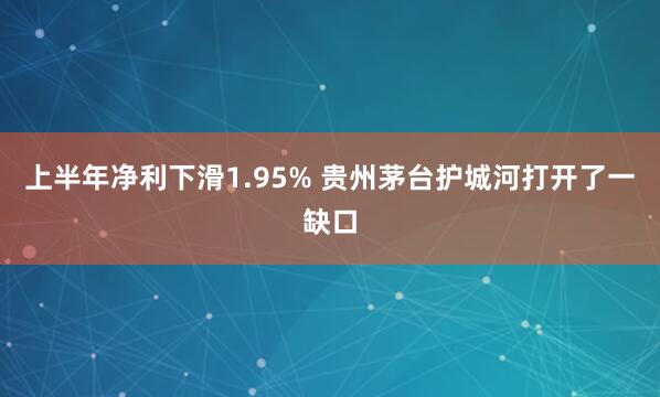 上半年净利下滑1.95% 贵州茅台护城河打开了一缺口