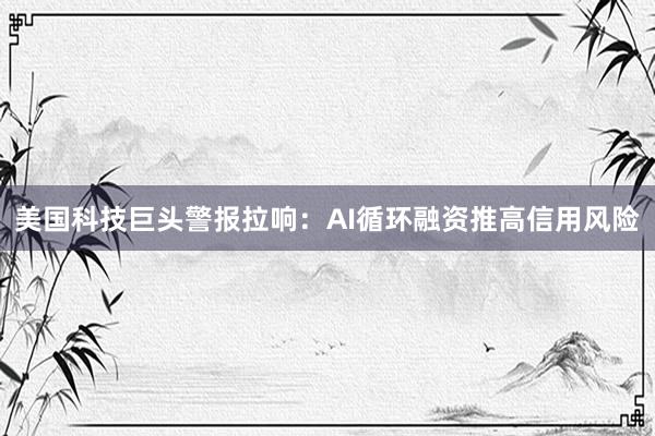 美国科技巨头警报拉响：AI循环融资推高信用风险