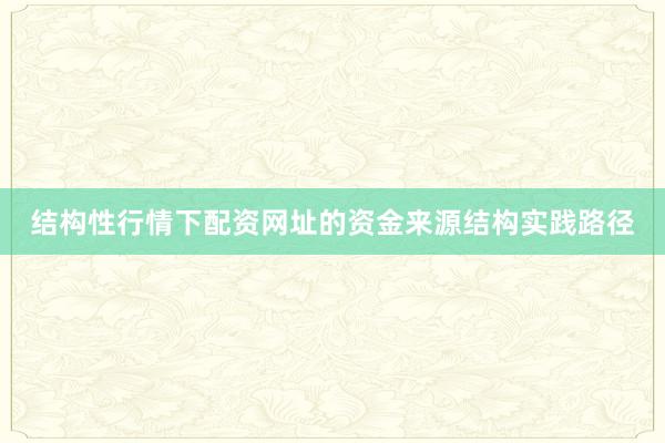 结构性行情下配资网址的资金来源结构实践路径