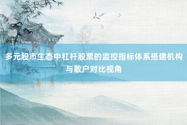 多元股市生态中杠杆股票的监控指标体系搭建机构与散户对比视角