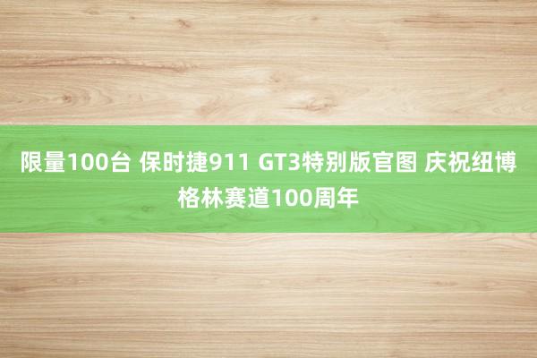 限量100台 保时捷911 GT3特别版官图 庆祝纽博格林赛道100周年