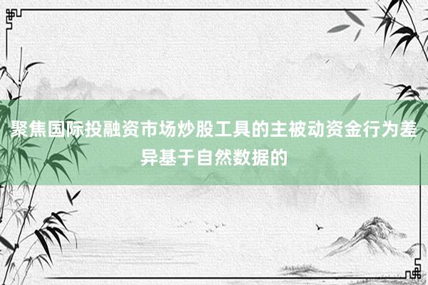 聚焦国际投融资市场炒股工具的主被动资金行为差异基于自然数据的