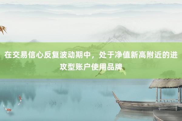 在交易信心反复波动期中，处于净值新高附近的进攻型账户使用品牌
