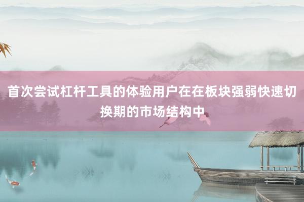首次尝试杠杆工具的体验用户在在板块强弱快速切换期的市场结构中