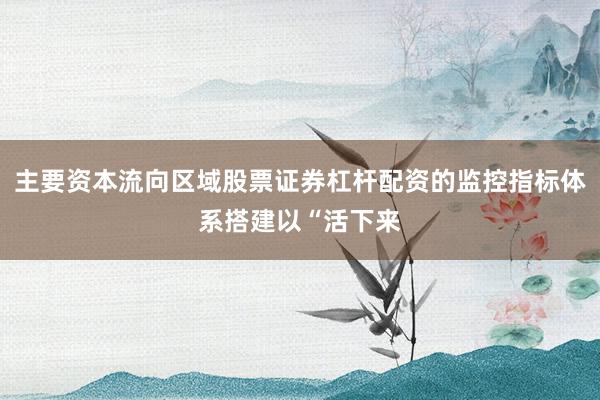 主要资本流向区域股票证券杠杆配资的监控指标体系搭建以“活下来