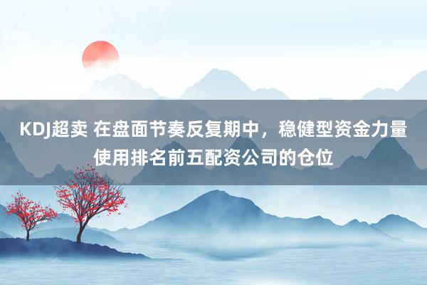 KDJ超卖 在盘面节奏反复期中，稳健型资金力量使用排名前五配资公司的仓位