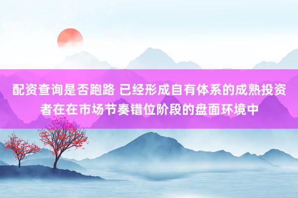 配资查询是否跑路 已经形成自有体系的成熟投资者在在市场节奏错位阶段的盘面环境中