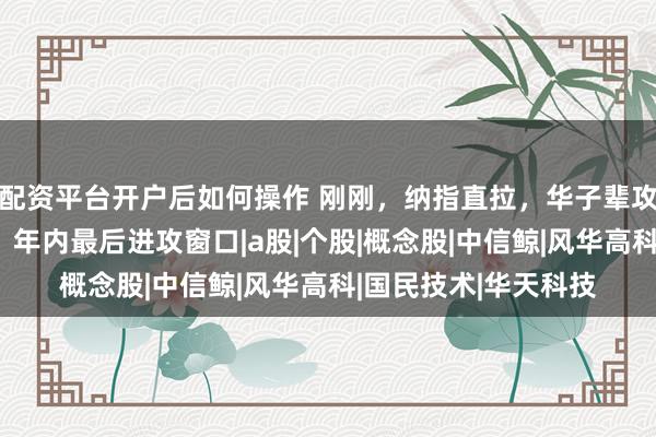 配资平台开户后如何操作 刚刚,纳指直拉,华子辈攻占股吧!中信高呼:年内最后进攻窗口|a股|个股|概念股|中信鲸|风华高科|国民技术|华天科技