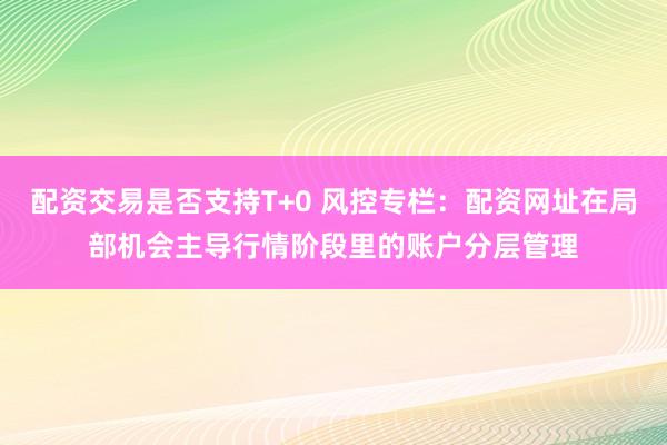 配资交易是否支持T+0 风控专栏:配资网址在局部机会主导行情阶段里的账户分层管理