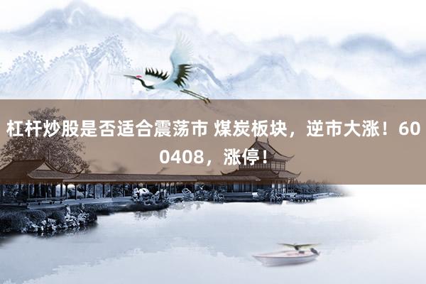 杠杆炒股是否适合震荡市 煤炭板块，逆市大涨！600408，涨停！