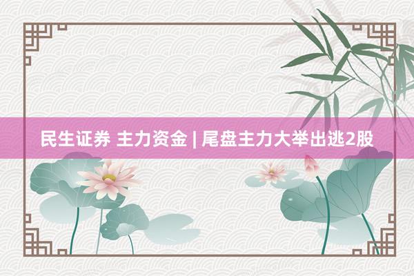 民生证券 主力资金 | 尾盘主力大举出逃2股